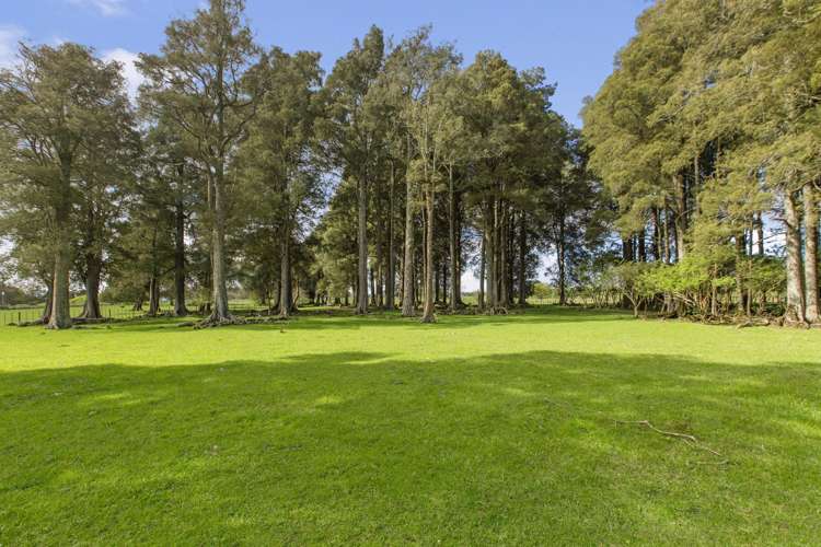 1041 Horotiu Road Whatawhata_11