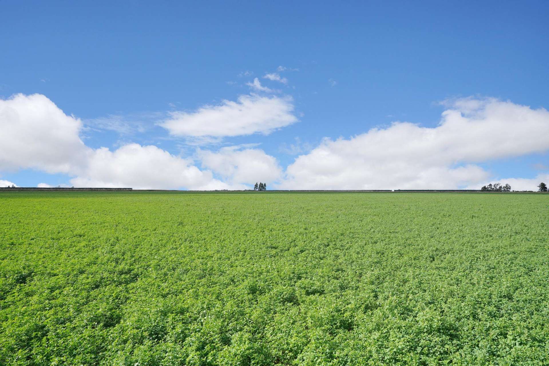 784 Wrights Road Oxford_0