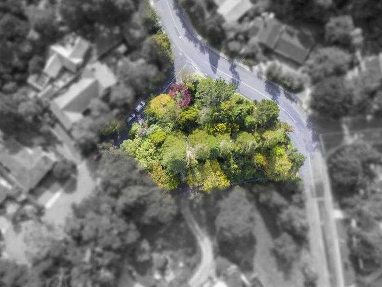 1 Freemans Way Pinehaven_11