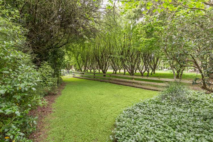 23 Salmond Street Hoon Hay_19