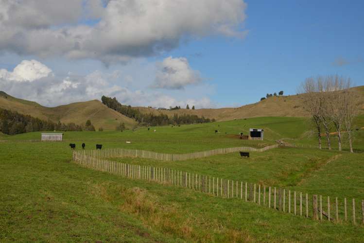 220 Tikitiki Road Te Kuiti_9