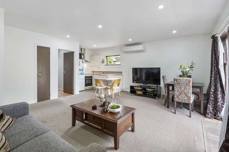 37 Dexter Avenue Mount Eden_13