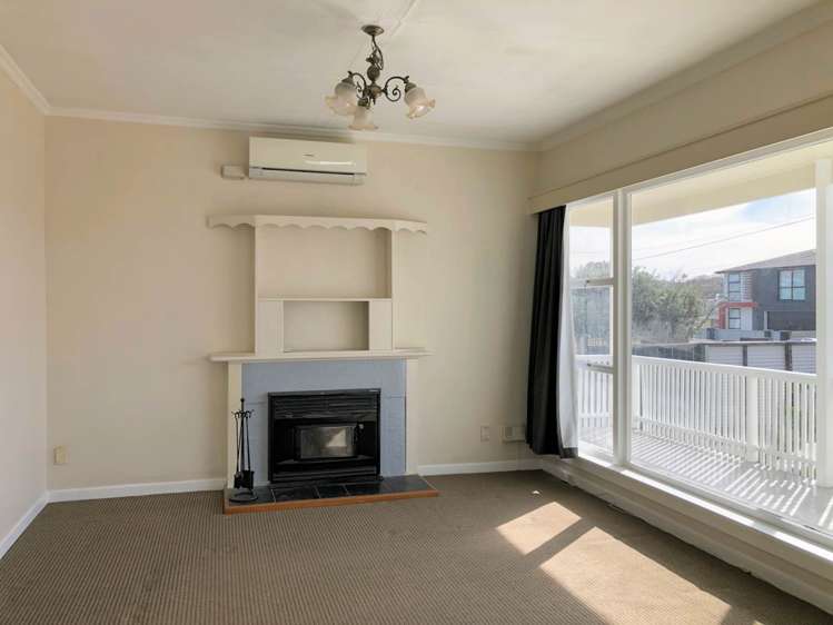 58 Greenpark Road Penrose_2