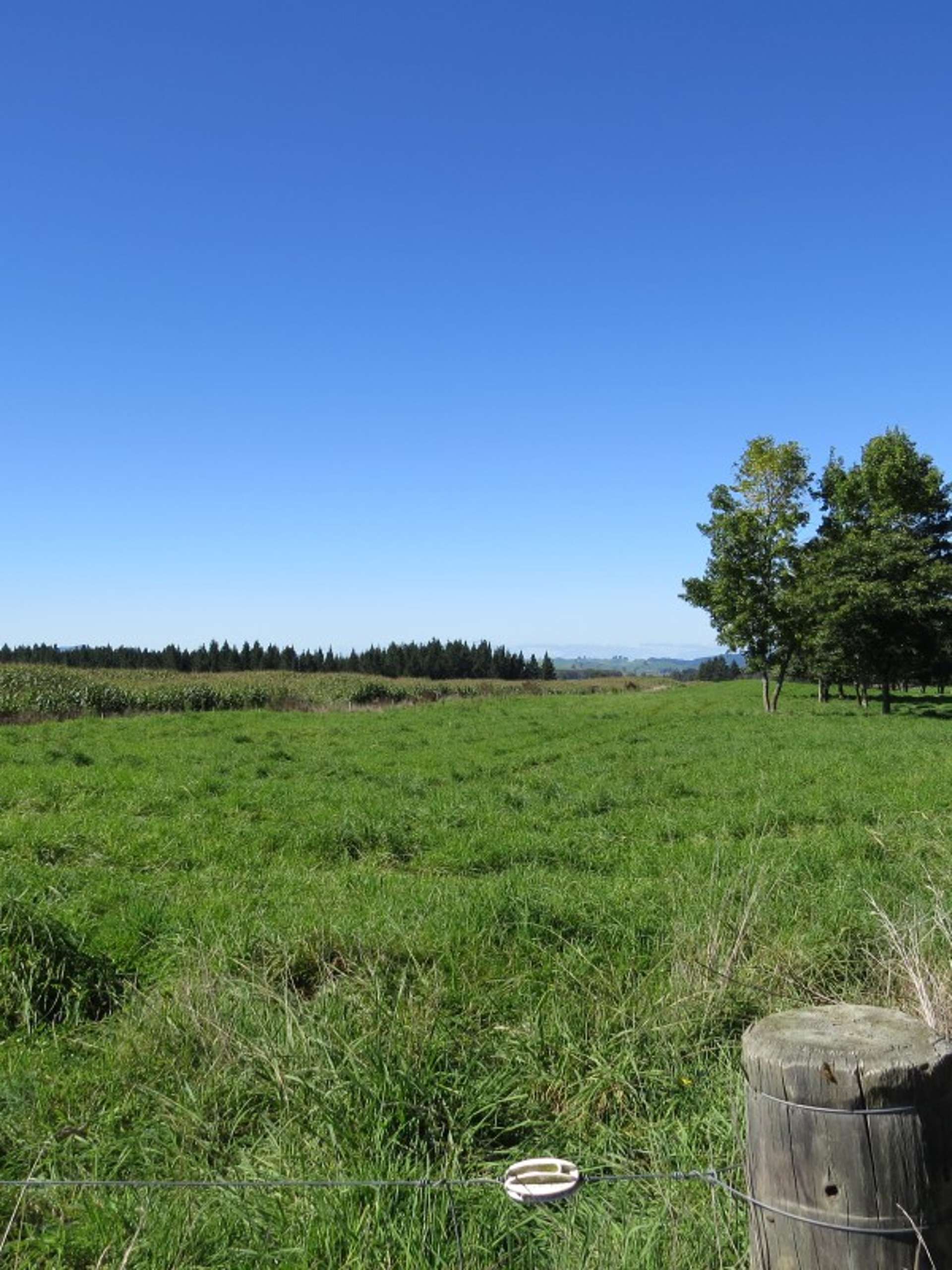 6261 State Highway 1 Kinleith_0