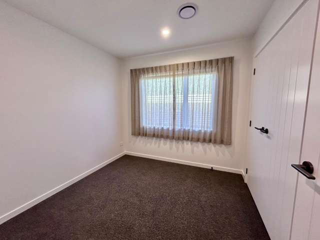 253b Georges Drive Napier South_4