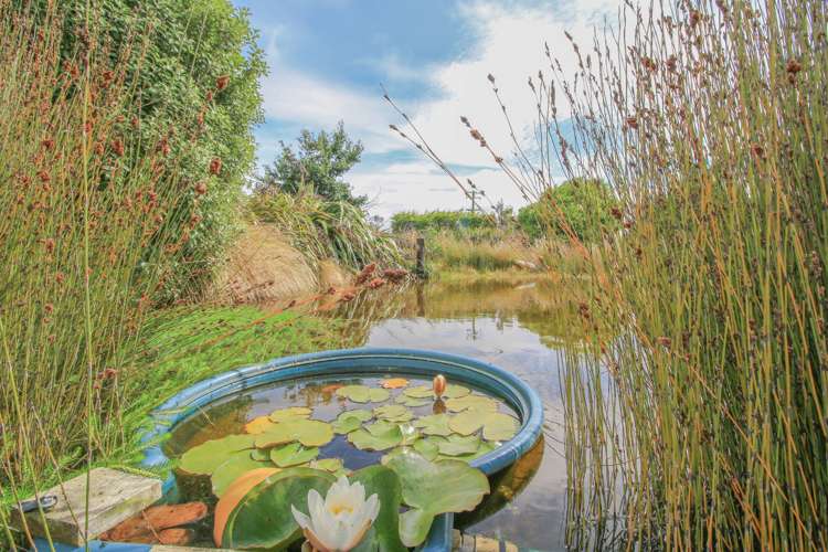 403 Mill Road North Myross Bush_33