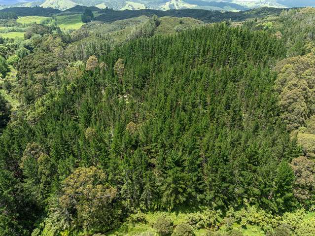 264 Taylor Road Taipa_4