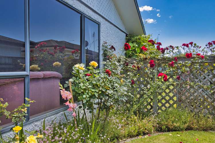 71 Avenue Road Greenmeadows_18
