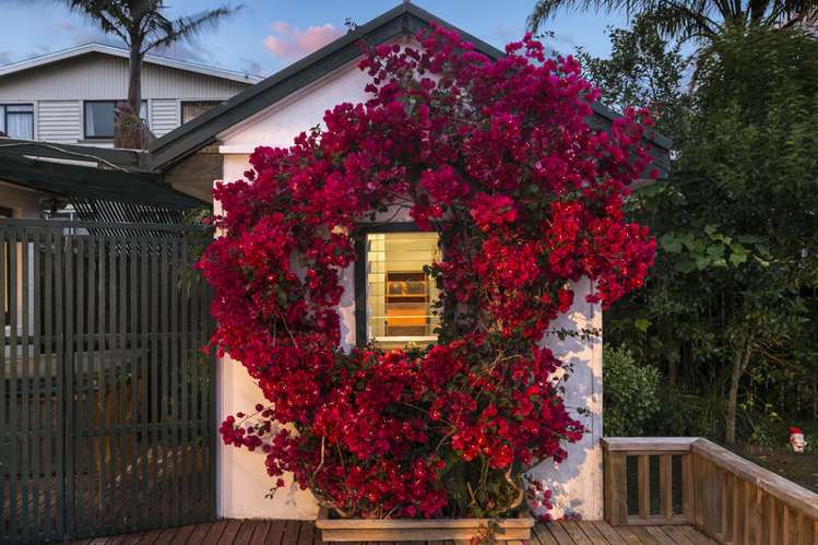 35 Forest Hill Road Henderson_12