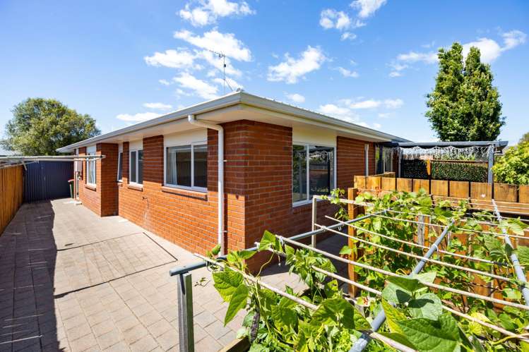 50 Catalina Drive Melville_19