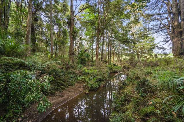 710 Sommerville Road Dargaville Surrounds_4