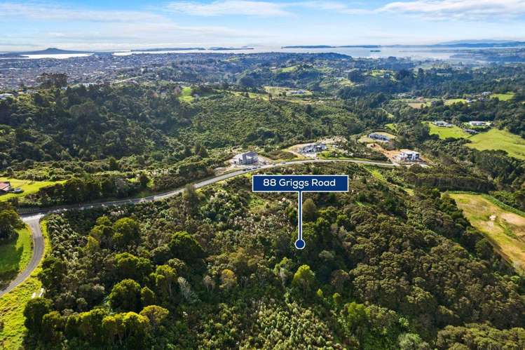 88 Griggs Road East Tamaki Heights_7