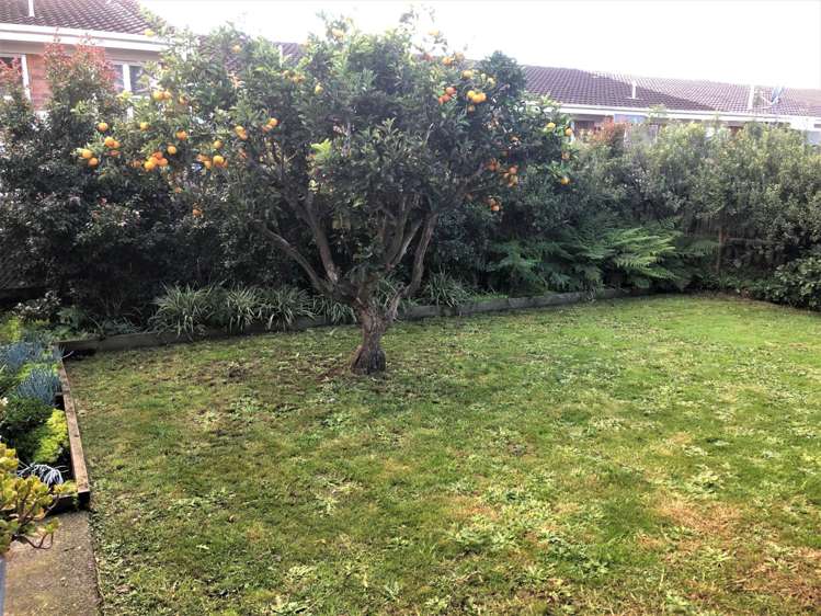 3/114 Trafalgar Street Onehunga_13