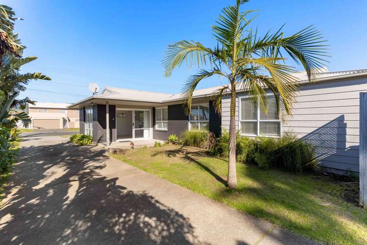312 Williamson Road Whangamata_3