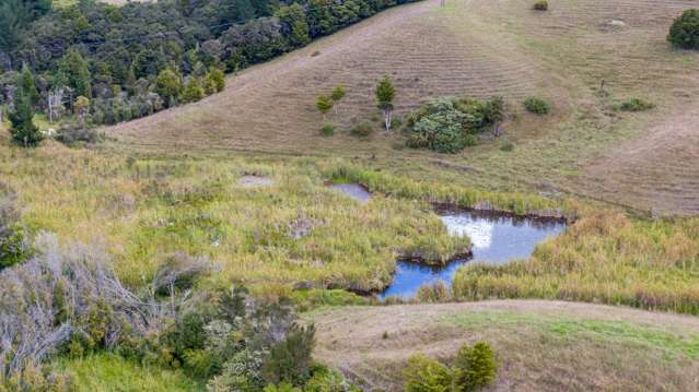 Fairburn Road Kaitaia_4