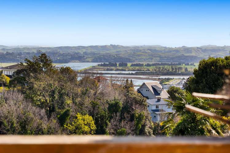 2 Roslyn Road Bluff Hill_11