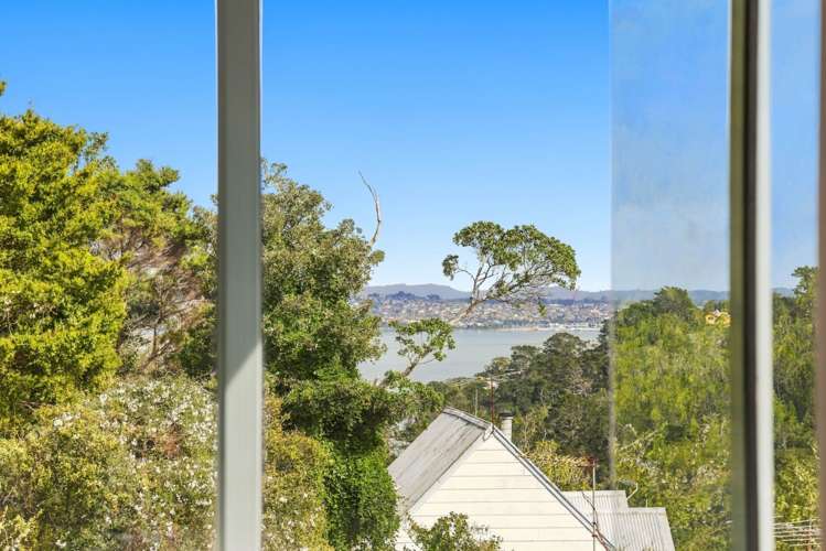 3/27B Balmain Road_5