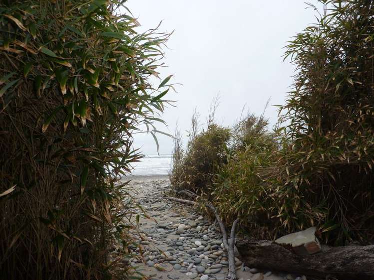 124 Torea Street Granity_22