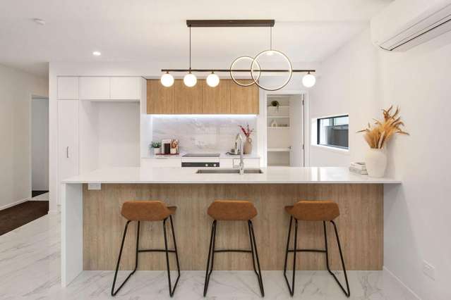 19 Hutcheson Street Sydenham_1