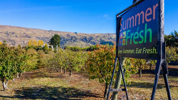 237 Roxburgh East Road Roxburgh East_18