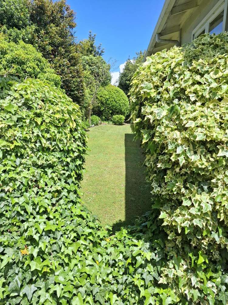 8 Laughton Street Taupo Central_6