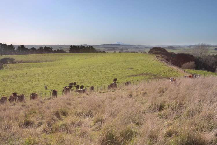 84B View Road Halcombe_6