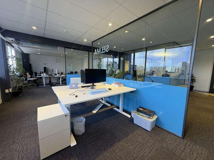 153B Parnell Road Parnell_2