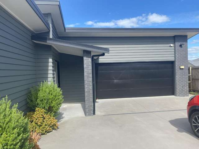1 Pukepuke Place, Kotata Heights Morningside_2