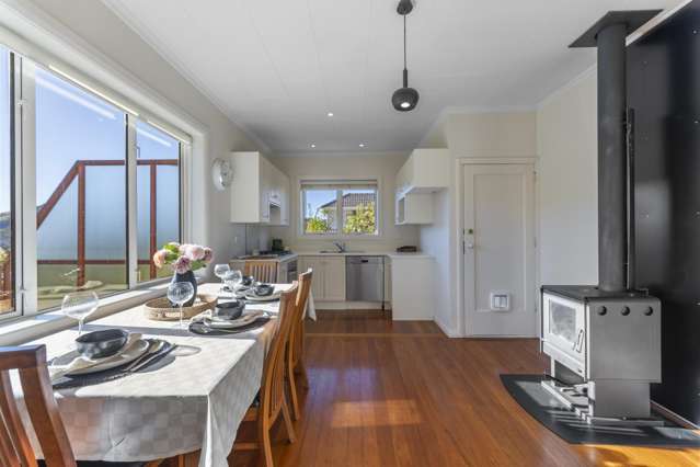 29 Wilkinson Street Liberton_3