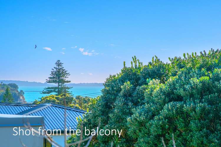 340 Beach Road Mairangi Bay_26