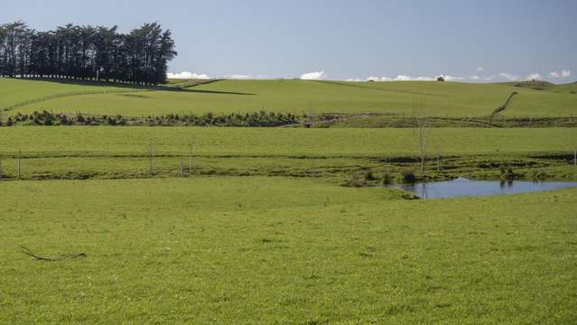 Burnetts Road Masterton_4