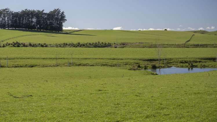 Burnetts Road Masterton_4