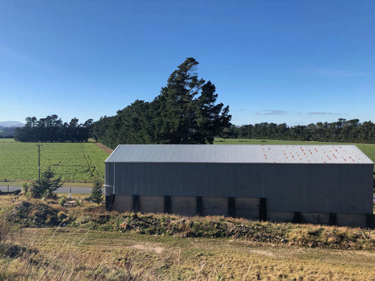 137 Blackford Road Methven_22