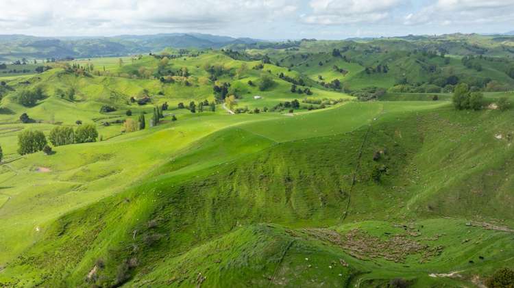 1163 Mangamako Road Ohingaiti_31