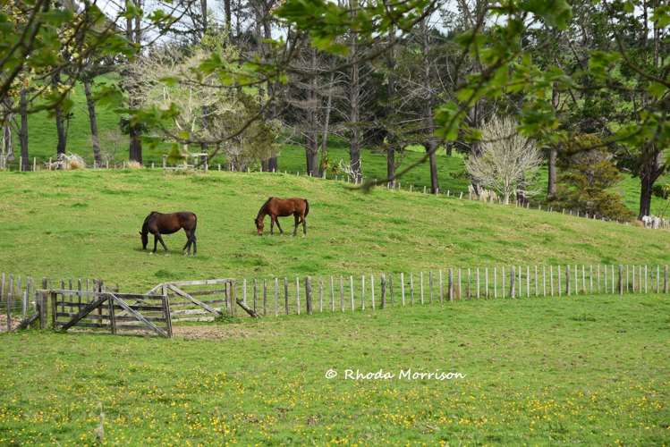 726 Paparoa Station Road Maungaturoto_35