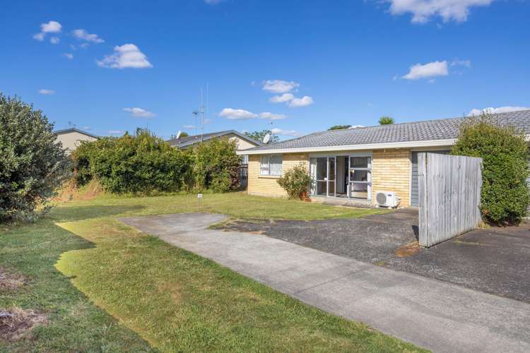 42A Livingstone Avenue Nawton_17