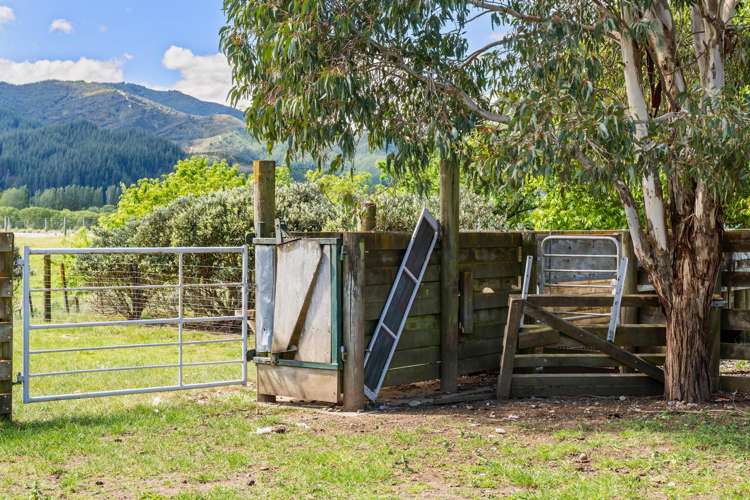 1944 State Highway 63 Wairau Valley_15