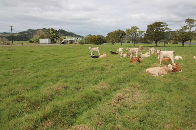 937 B State Highway 10 Kerikeri_13