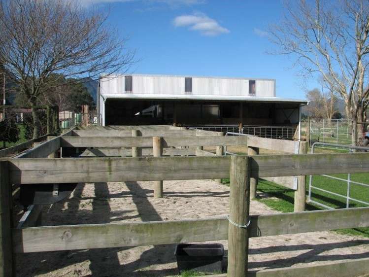 44 Racecourse Road Te Aroha_10