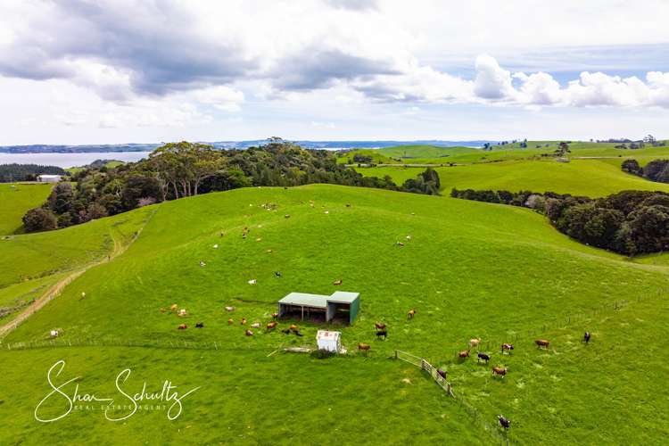 1509 Tinopai Road Tinopai_18