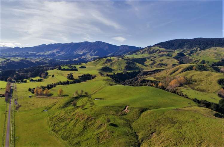 2/230 Clyde Road Burnside_2