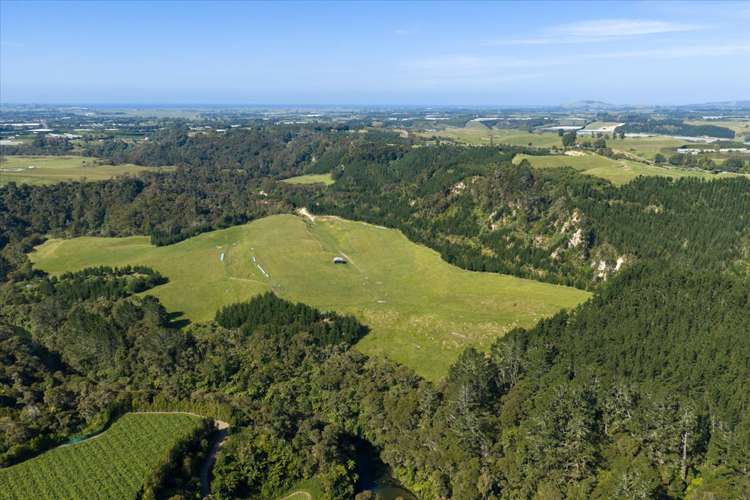 720 State Highway 33 Paengaroa_29