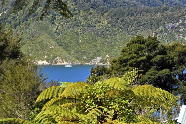 26 Kamahi Road, Tennyson Inlet Marlborough Sounds_18