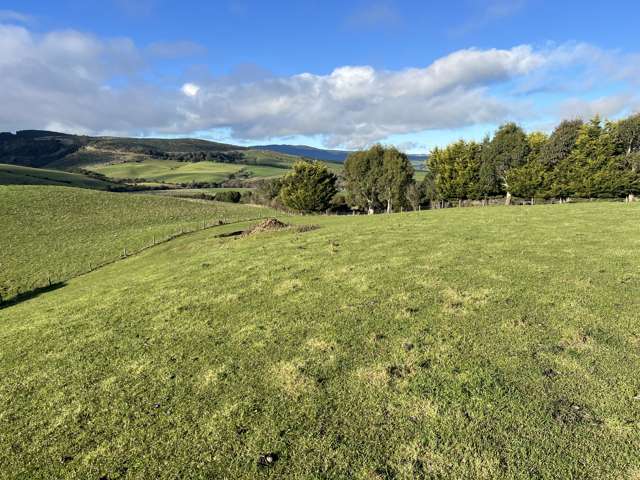 295 Stirling Road Winton Surrounds_1