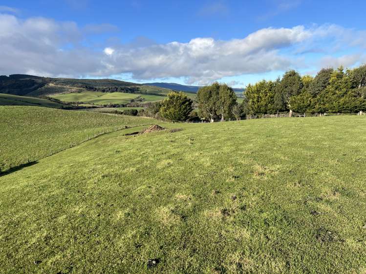 295 Stirling Road Winton Surrounds_1