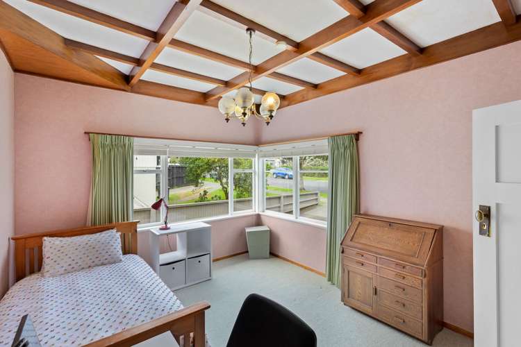 17 Harbutt Avenue Mount Albert_16