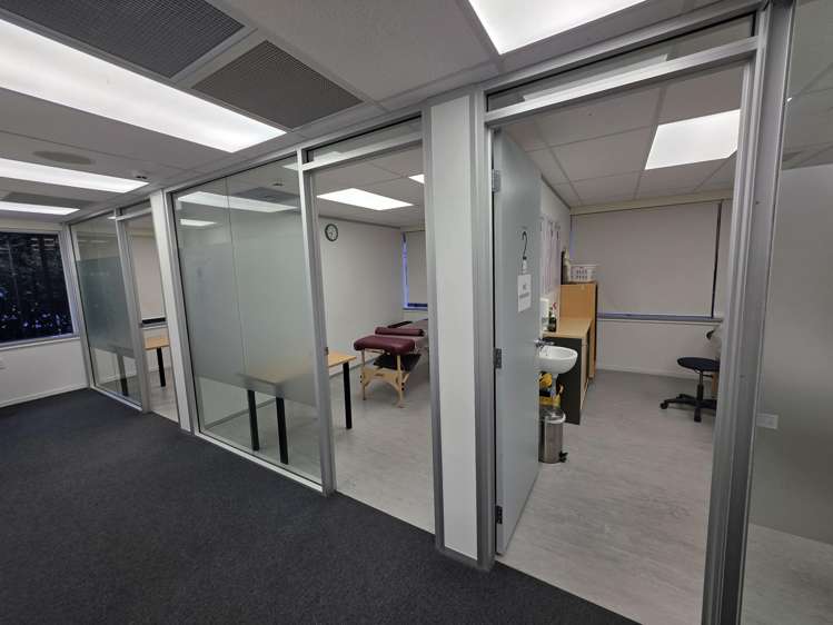 32 Manukau Road Epsom_5