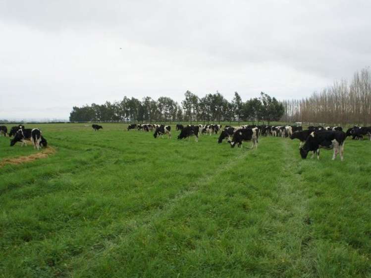 64 Haymans Road Waimate_5