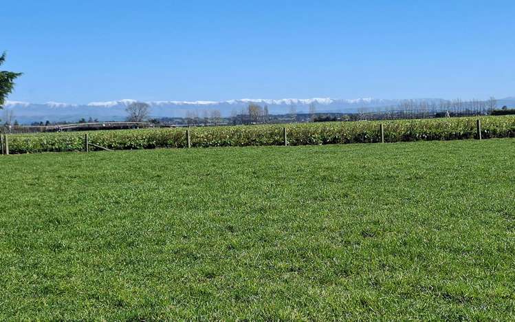 21 Dominion Road Timaru_14