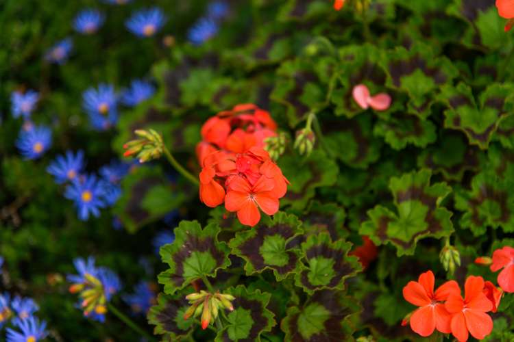 12 Dewe Avenue Feilding_24